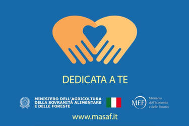 Immagine: Carta Solidale Dedicata a te