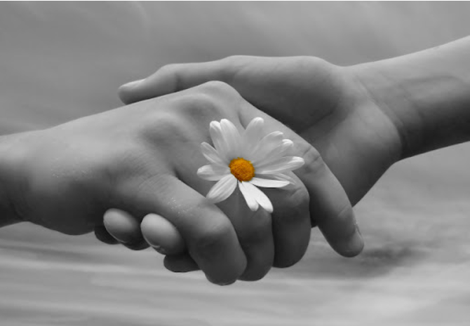 Immagine: immagine provi