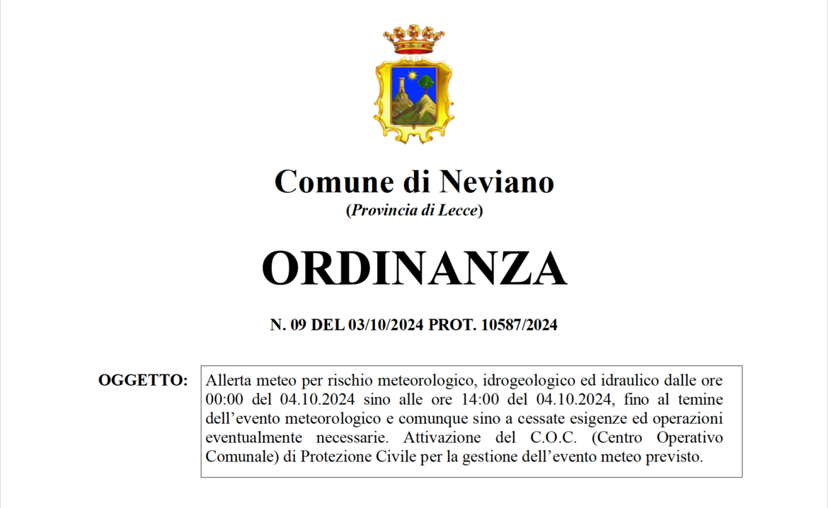 Immagine: ORDINANZA N. 09