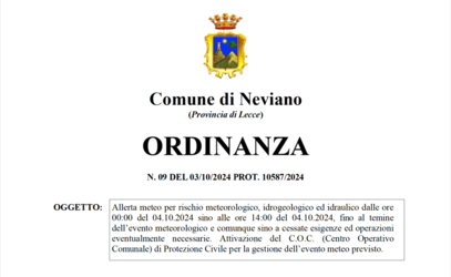 Immagine: ORDINANZA N. 09